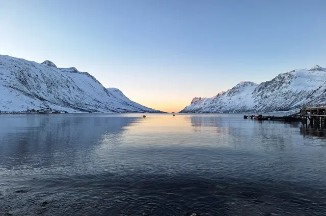 The Fjord Tour by Minibus